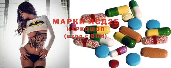 молекула духа Аркадак