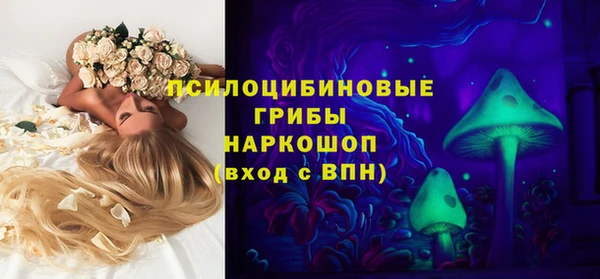 молекула духа Аркадак