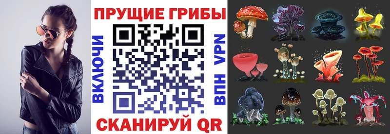 Галлюциногенные грибы GOLDEN TEACHER  даркнет официальный сайт  Елабуга  МЕГА  